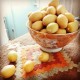 میوه گرمسیری خارک نوع بریمی